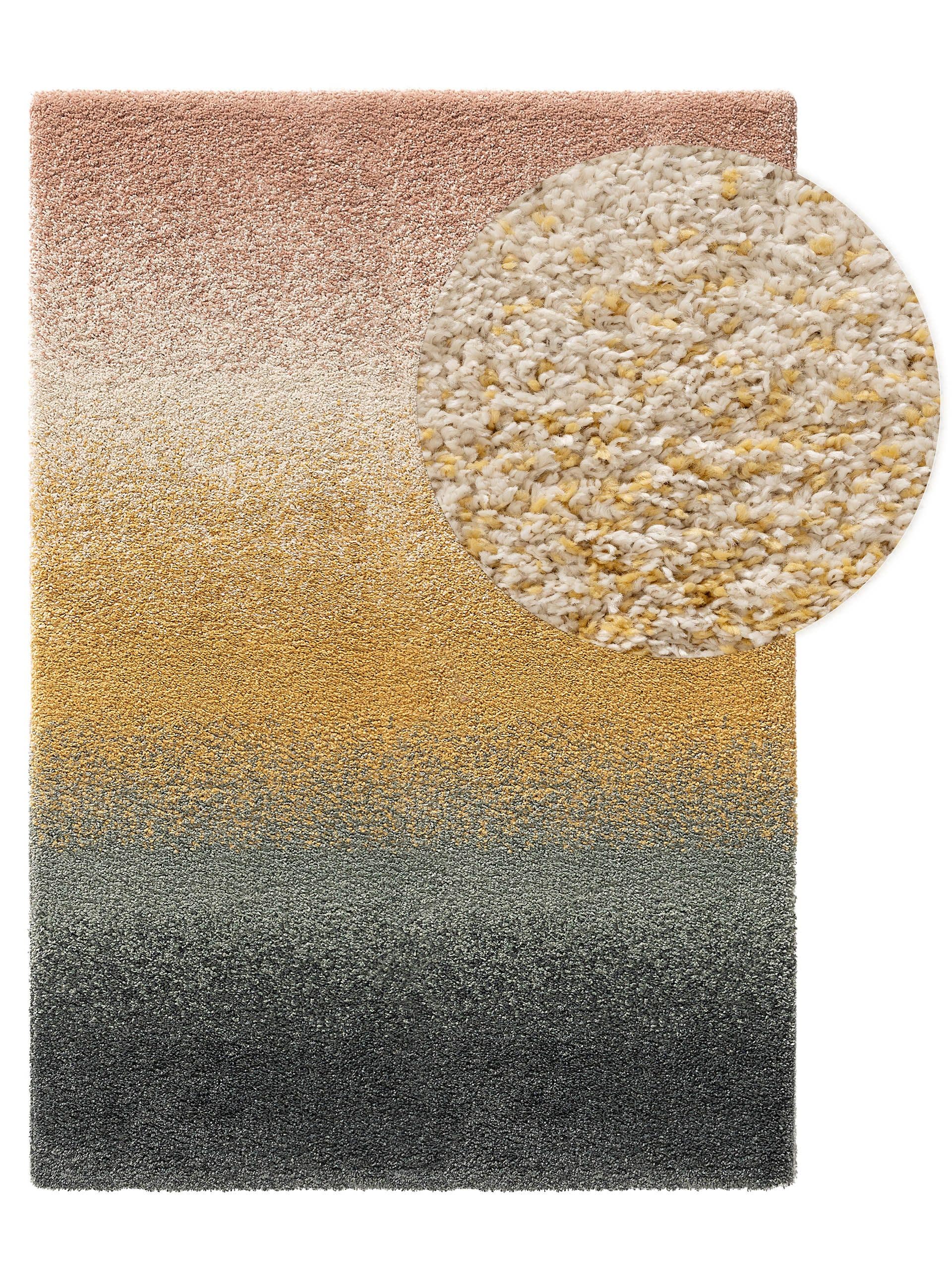 Covor Shaggy Solea Multicolour 