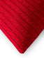 Christmas Pernă Classic Red