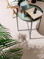 Covor interior/exterior Fion Beige/Green 