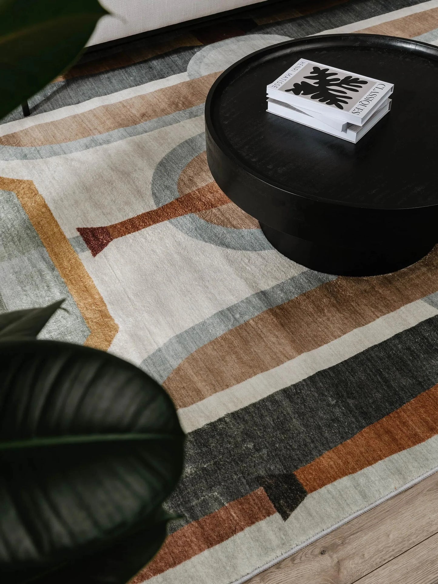 Covor lavabil Mara Multicolour 