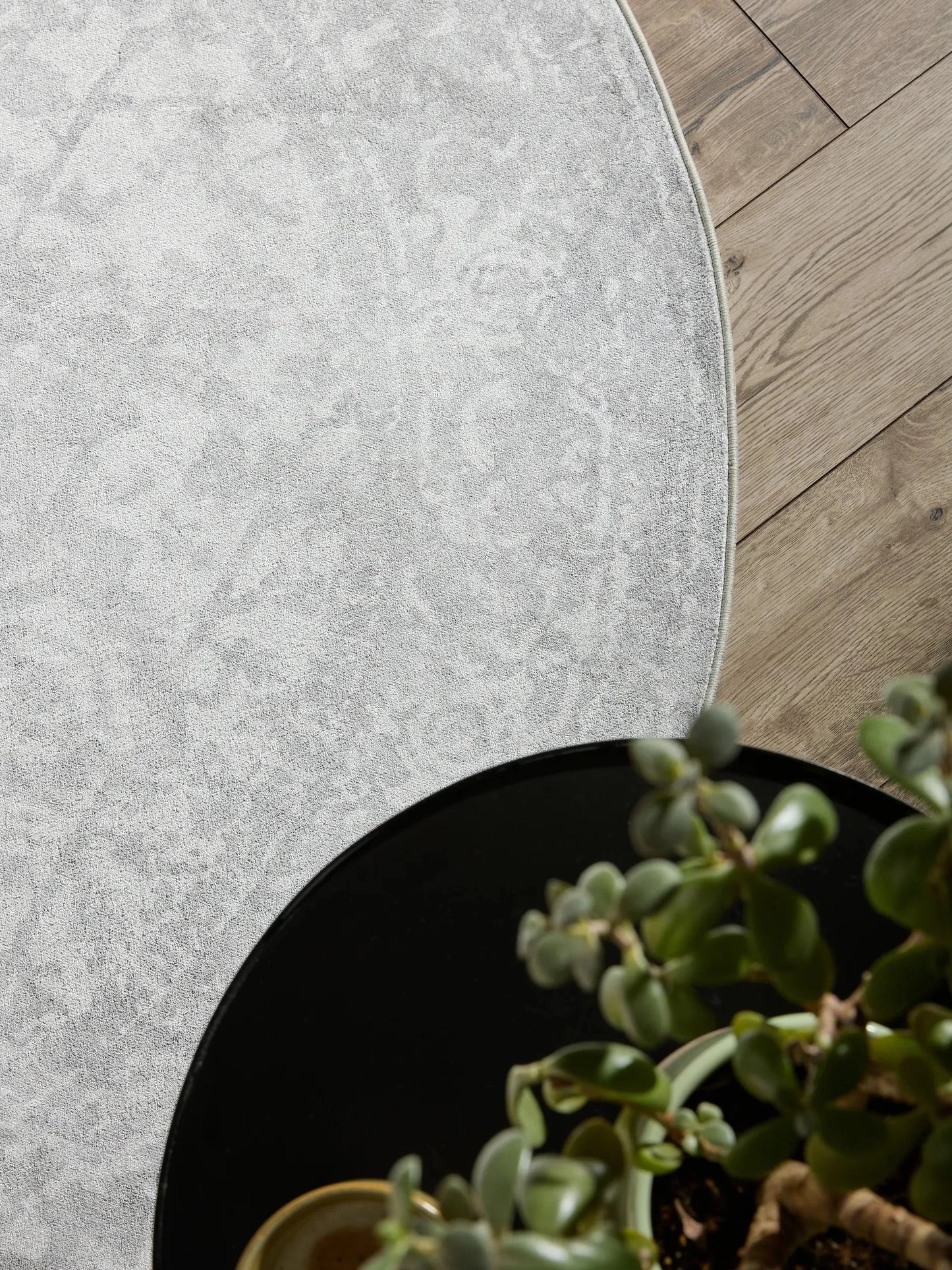 Covor lavabil Miray Grey