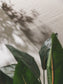 Covor interior/exterior Naoto Light Grey 