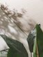 Covor interior/exterior Naoto White 