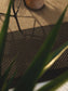 Covor interior/exterior Naoto Beige/Black